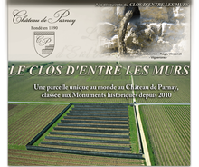 Load image into Gallery viewer, Château de Parnay Clos d&#39;Entre les Murs Saumur Blanc 2018 BIO, 75 cl