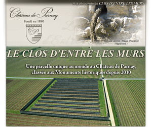 Château de Parnay Clos d'Entre les Murs Saumur Blanc 2017 BIO, 75 cl