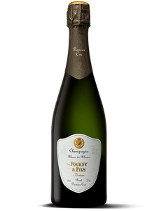 Champagne Vve Fourny & Fils Blanc de Blancs Extra Brut Premier Cru Magnum, 150 cl
